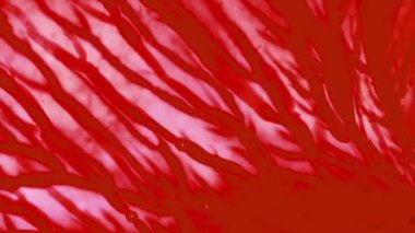 Ustalık - kan alma, arka plan 