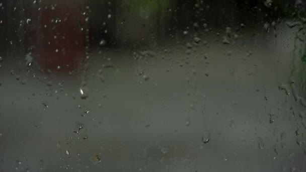 Капли дождя — стоковое видео