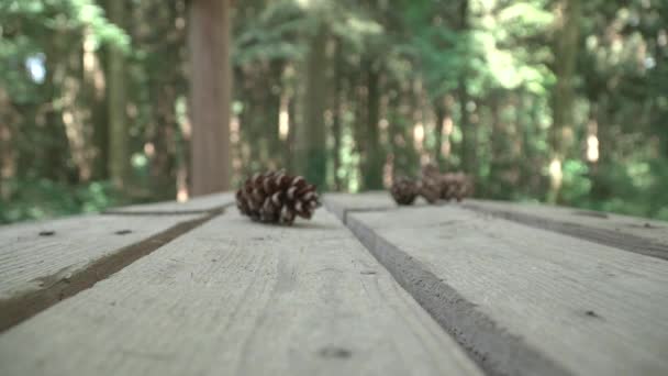 Tannenzapfen liegen auf einem Holztisch — Stockvideo