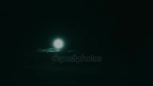 clair de lune nocturne à travers les arbres  