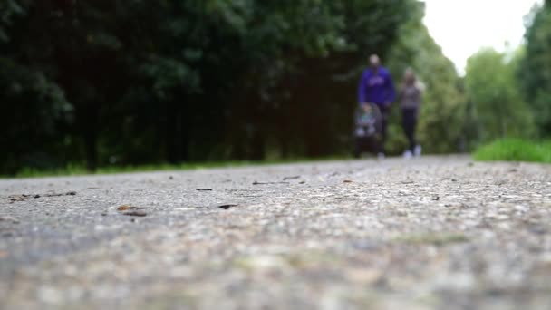 Young couple walking with carriage in park. Defocus — Stock Video
