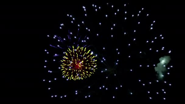 Fuochi Artificio Brillantemente Colorati Saluto Vari Colori Nel Cielo Notturno — Video Stock