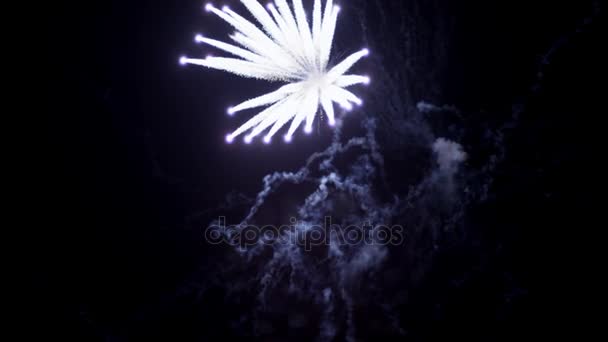 Fuegos Artificiales Colores Brillantes Saludo Varios Colores Cielo Nocturno — Vídeos de Stock