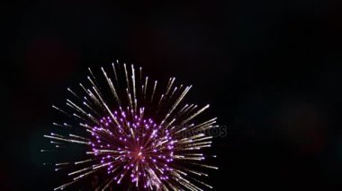 Parlak renkli havai fişek ve Selam gece gökyüzünde çeşitli renkler 