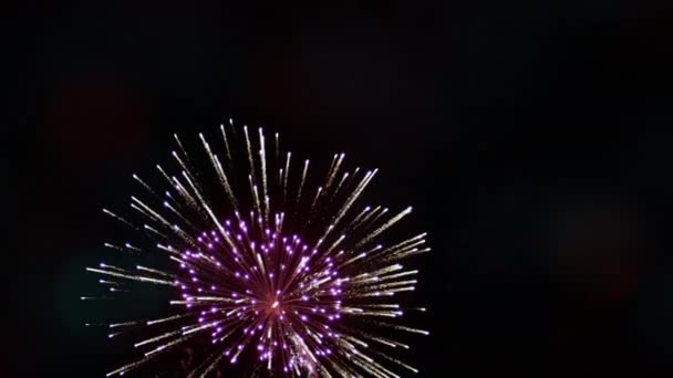 明亮的五颜六色的烟花和各种各样的颜色的敬礼在夜空 — 图库视频影像