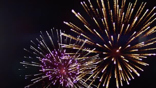 Helder Kleurrijke Vuurwerk Groet Van Verschillende Kleuren Nachtelijke Hemel — Stockvideo