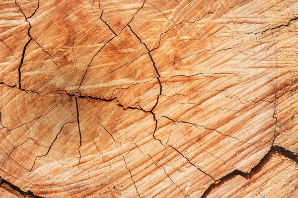 Старая текстура дерева и фон, Абстрактный фон — стоковое фото