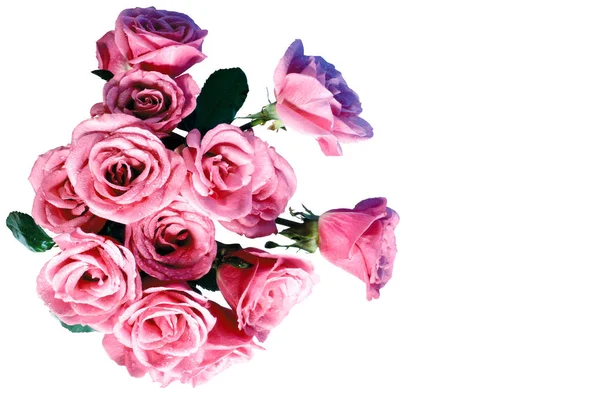 Květiny na stěnu pozadí s úžasné růže, kytice — Stock fotografie