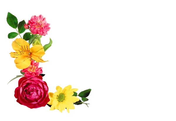 Květiny. Barevné květy kytice izolovaných na bílém pozadí — Stock fotografie