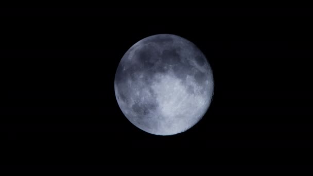 Luna Llena Pájaro Volando Fondo Luna — Vídeo de stock