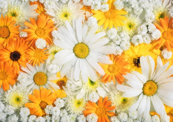 Kleurrijke bloemboeket, bloemen achtergrond — Stockfoto