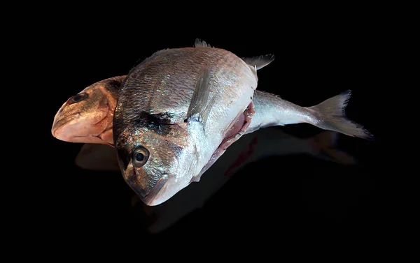 Свіжа риба дорадо ізольована на білому тлі — стокове фото