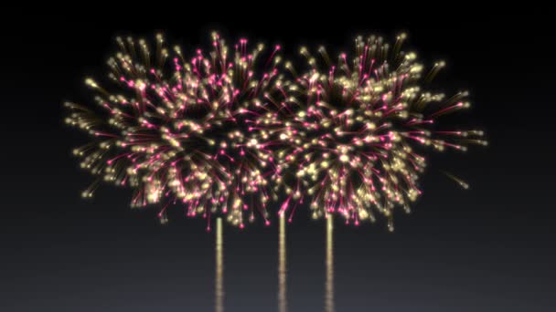 Яркий Праздничный Фейерверк Тёмном Фоне Прекрасные Вспышки Фейерверков Небе — стоковое видео