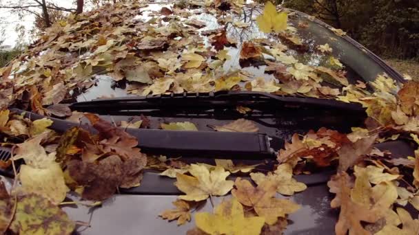Zeitlupe Von Herabgefallenen Herbstblättern Auf Der Windschutzscheibe Eines Geparkten Autos — Stockvideo