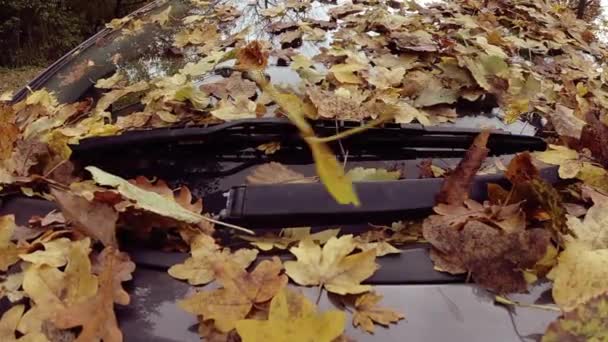 Zeitlupe Von Herabgefallenen Herbstblättern Auf Der Windschutzscheibe Eines Geparkten Autos — Stockvideo