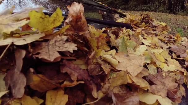 Zeitlupe Von Herabgefallenen Herbstblättern Auf Der Windschutzscheibe Eines Geparkten Autos — Stockvideo