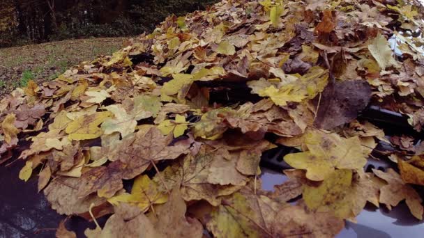 Zpomalený Záběr Spadlého Podzimního Listí Čelním Skle Auta Parkovišti — Stock video