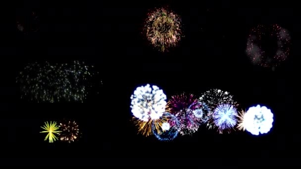 あなたのプロジェクトのための明るい休日の花火のセット 黒の背景に花火のカラフルな閃光 — ストック動画