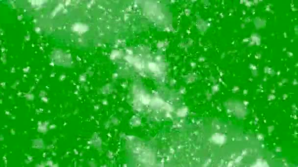 Alta Qualità Movimento Animazione Neve Che Cade Sfondo Schermo Verde — Video Stock