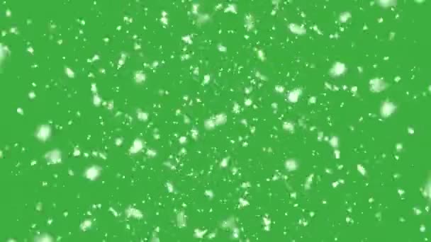 緑の画面の背景に落ちる高品質のモーションアニメーション雪 25Fpsトップ表示 — ストック動画