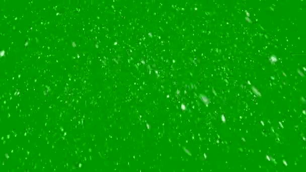 黒を背景に高品質な動画雪が降っています 重い雪片が重なり合う背景 — ストック動画