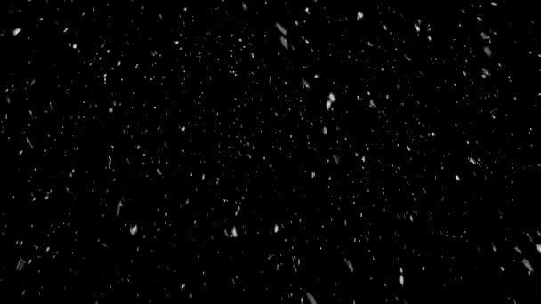 Qualitativ Hochwertige Bewegungsanimation Schnee Fällt Auf Schwarzem Hintergrund Schwere Fliegende — Stockvideo