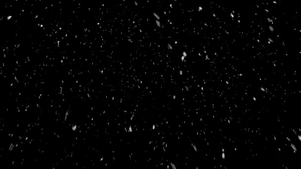 Animation Mouvement Haute Qualité Neige Tombant Sur Fond Noir Flocs — Video