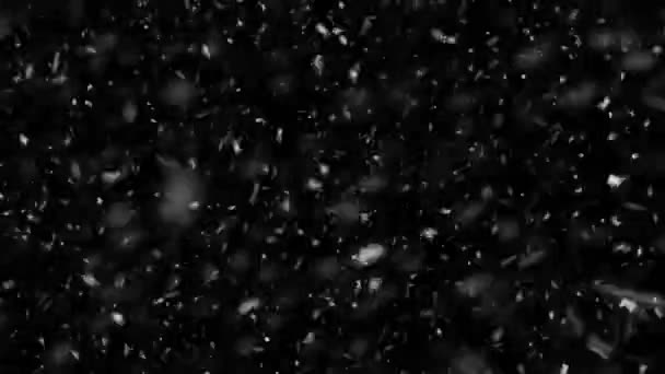 High Quality Motion Animation Snow Falling Black Background Heavy Flying — Stock Video