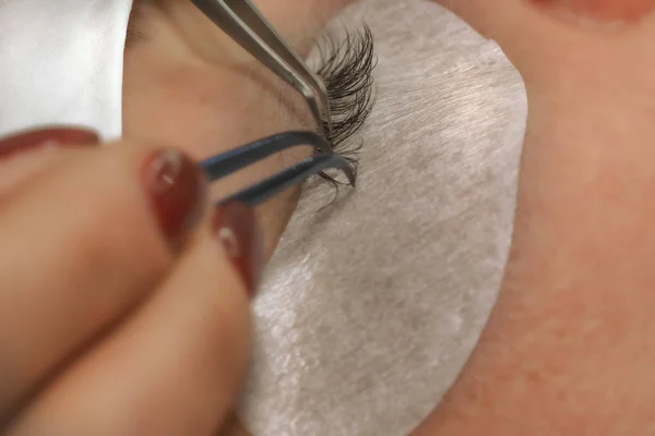 Gluing artificial eyelashes with tweezers. Cosmetic procedure.