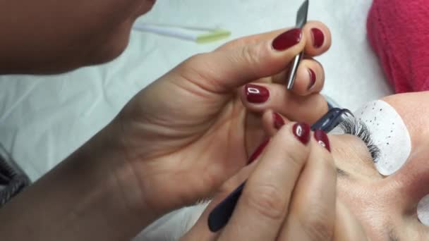 Gluing Artificial Eyelashes Tweezers Cosmetic Procedure Eyelash Extension Woman Eye — 비디오