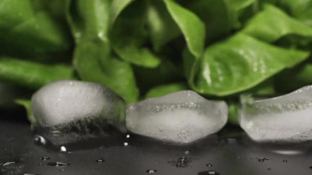 Folhas Alface Salada Verdura Fresca Superfície Escura Molhada Movimento Lento — Vídeo de Stock