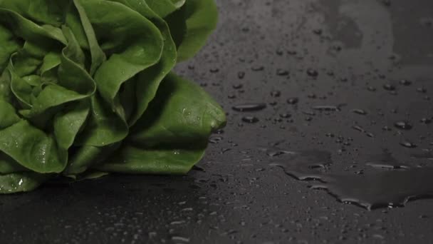 莴苣叶 新鲜的绿色色拉在潮湿的深色表面上 慢动作 — 图库视频影像