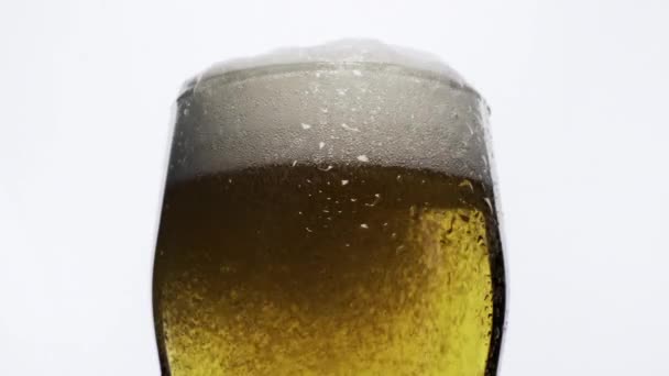 Fines Bulles Élèvent Dans Verre Avec Bière Sur Fond Blanc — Video