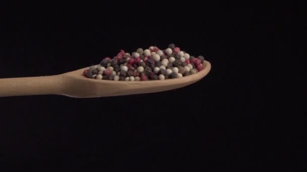 Les Grains Poivre Colorés Coulent Une Cuillère Bois Haut Bas — Video