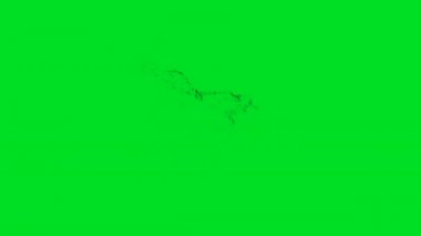  Yeşil ekran arka planında kan sıçraması 