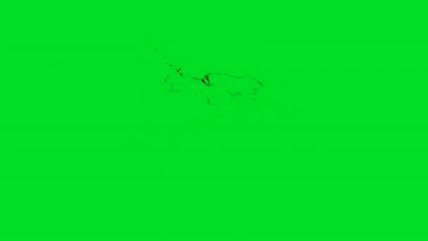 Blutspritzer Auf Grünem Hintergrund — Stockvideo