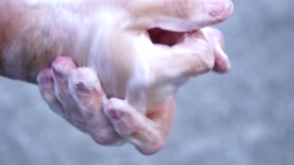 Covid 19コロナウイルスの予防 抗菌石鹸で手を洗ってください 頻繁な手洗いによるコロナ大流行の保護 選択的焦点 — ストック動画