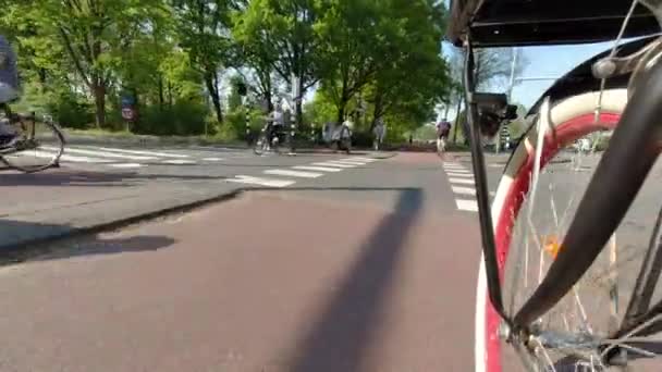 여름에 공원에서 자전거를 배달원 자전거를 다닌다 — 비디오