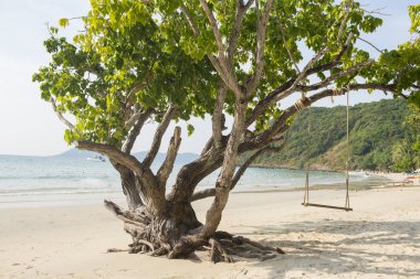 Güneşli günde güzel plajı