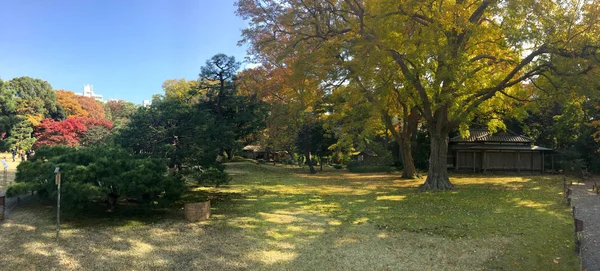 Schöne Herbstfarben im japanischen Garten — Stockfoto