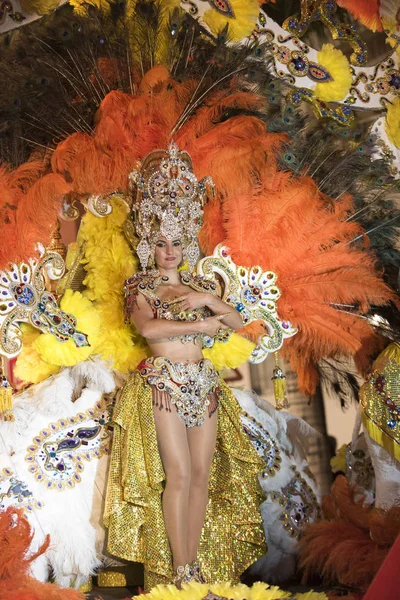 TENERIFE, 25 DE FEBRERO: Personajes y Grupos en el Carnaval — Foto de Stock