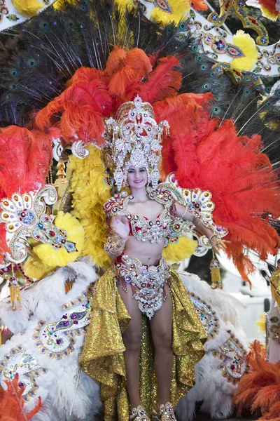 TENERIFE, FEVEREIRO 28: Personagens e grupos no carnaval — Fotografia de Stock