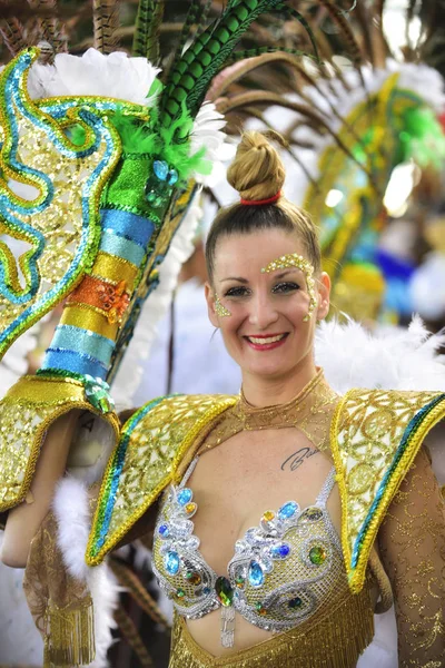 TENERIFE, 13 DE FEBRERO, Personajes y grupos en el Carnaval . —  Fotos de Stock
