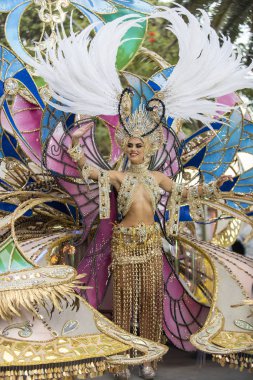 TENERIFE, SPAIN - FEBRUARY 22, 2020: Carnival Festival in the streets of Santa Cruz de Tenerife. February 22, 2020