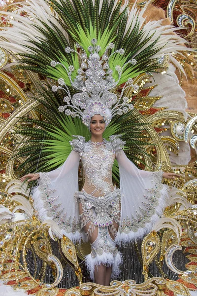 Tenerife Spain February 2020 Carnival Festival Streets Santa Cruz Tenerife — Zdjęcie stockowe