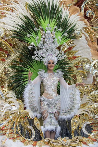 TENERIFE, SPAIN - FEBRUARY 22, 2020: Carnival Festival in the streets of Santa Cruz de Tenerife. February 22, 2020