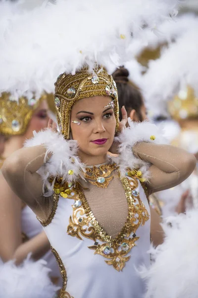 Tenerife Spain February 2020 Carnival Festival Streets Santa Cruz Tenerife — Stock Photo, Image