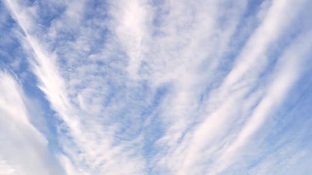 Céu Azul Tem Uma Bela Massa Nuvens Brancas Com Uma — Vídeo de Stock