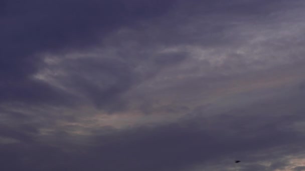 Błękitne Niebo Piękną Białą Masę Chmur Kopią Przestrzeni Ptaki Latają — Wideo stockowe