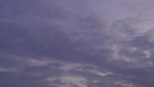 Синє Небо Має Чудову Білу Хмару Копією Простору Птахи Летять — стокове відео